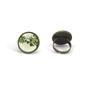 Bague Cabochon - "Porte-bonheur" Shaddock - bronze (ref.47)